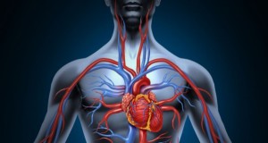 how-to-improve-blood-circulation-naturally-600x319