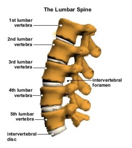 LUMBAR_SPINE